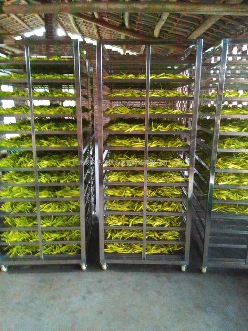 黃花菜烘干機、黃花菜烘干設(shè)備、黃花菜干燥機、黃花菜干燥設(shè)備、